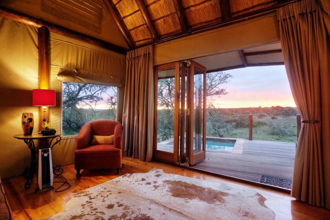 Bush Lodge - Amakhala Game Reserve ภายนอก รูปภาพ