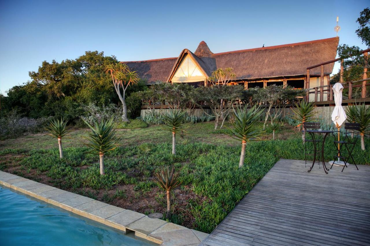 Bush Lodge - Amakhala Game Reserve ภายนอก รูปภาพ
