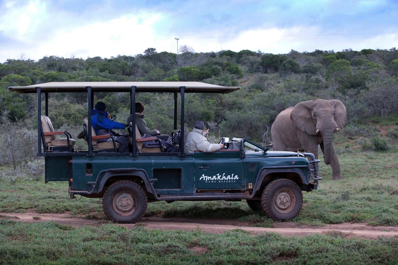 Bush Lodge - Amakhala Game Reserve ภายนอก รูปภาพ