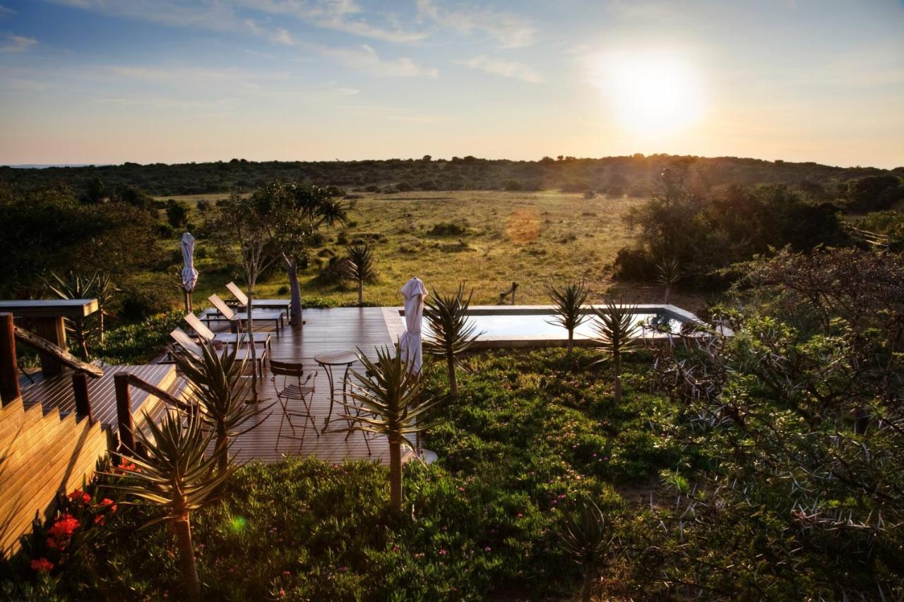 Bush Lodge - Amakhala Game Reserve ภายนอก รูปภาพ