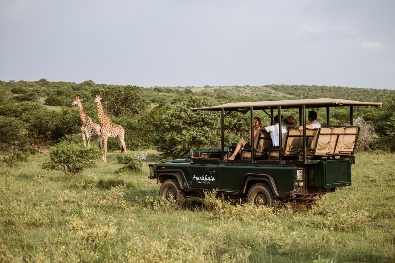 Bush Lodge - Amakhala Game Reserve ภายนอก รูปภาพ