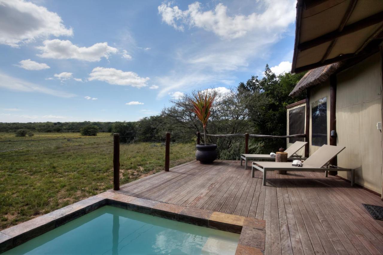 Bush Lodge - Amakhala Game Reserve ภายนอก รูปภาพ