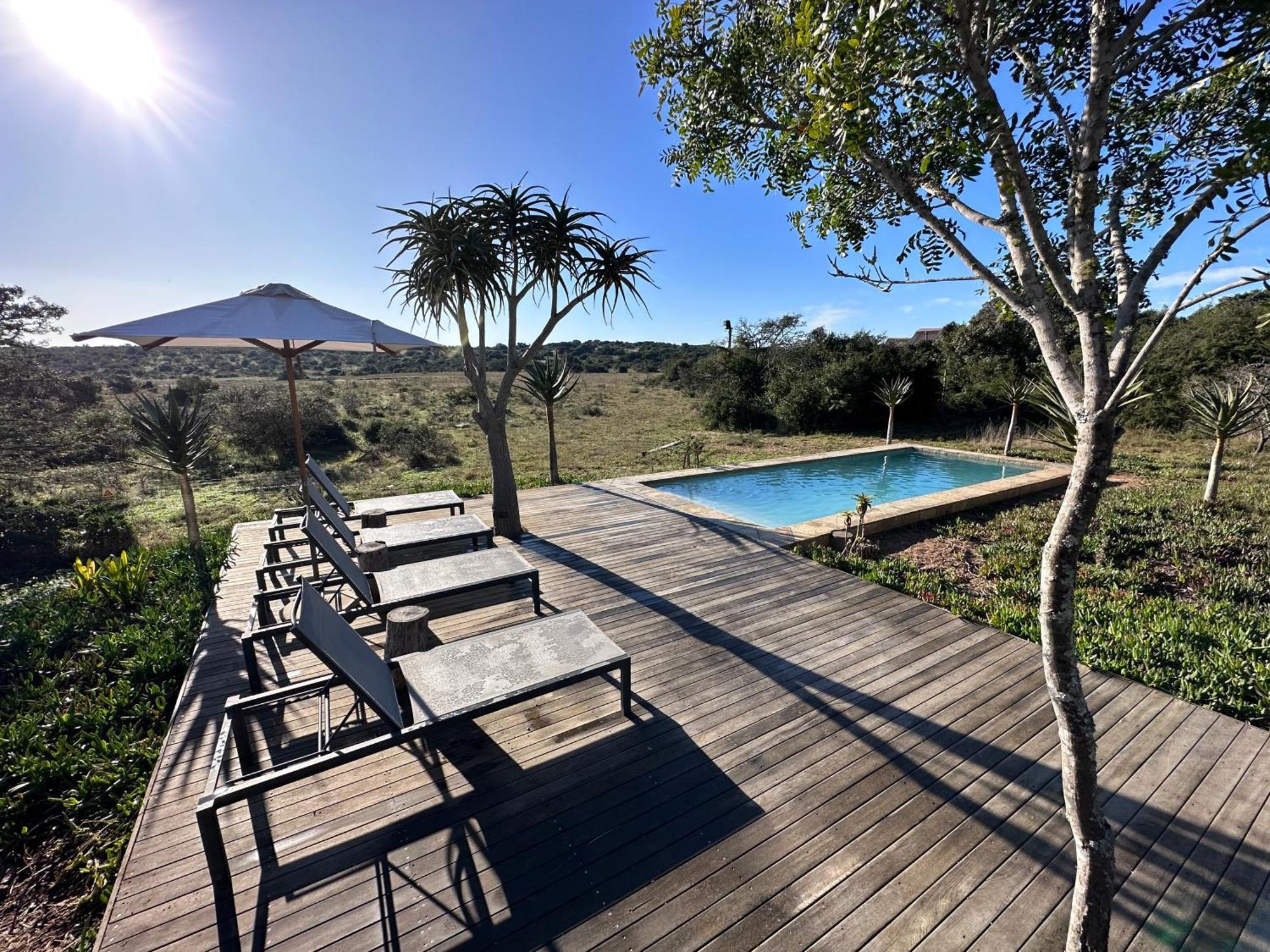 Bush Lodge - Amakhala Game Reserve ภายนอก รูปภาพ
