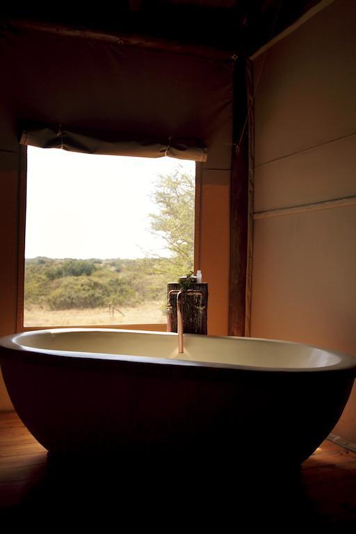 Bush Lodge - Amakhala Game Reserve ภายนอก รูปภาพ
