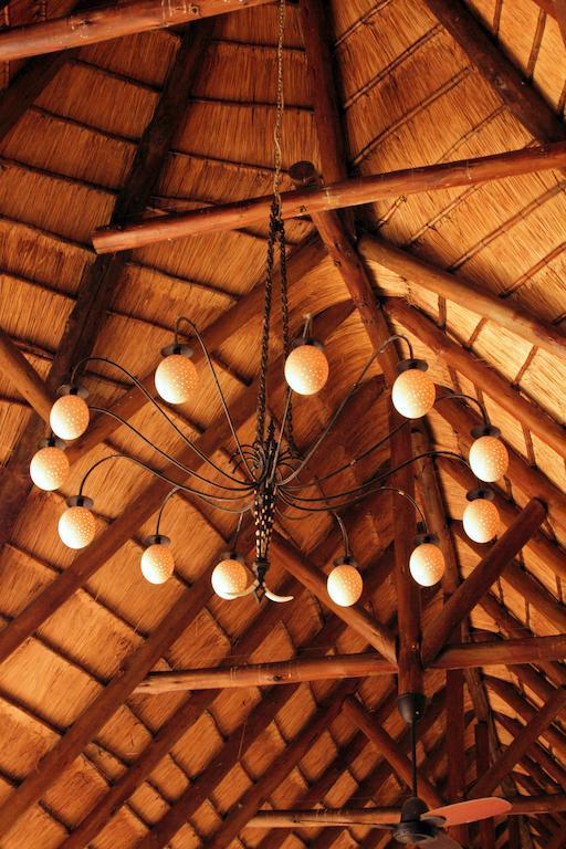 Bush Lodge - Amakhala Game Reserve ภายนอก รูปภาพ