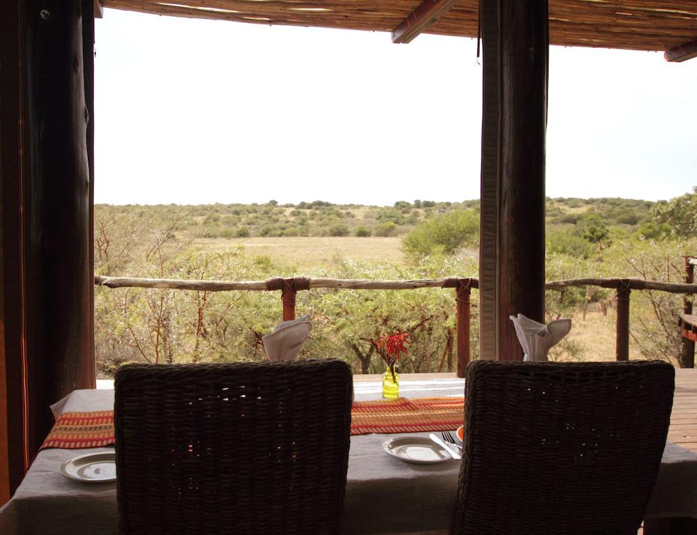Bush Lodge - Amakhala Game Reserve ภายนอก รูปภาพ