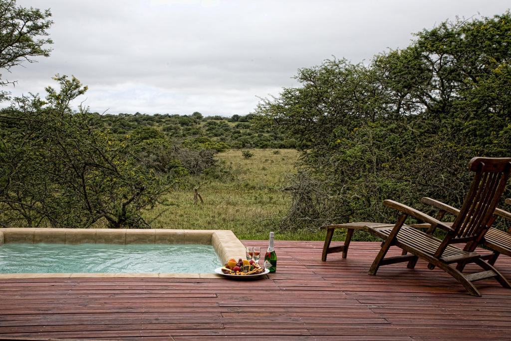 Bush Lodge - Amakhala Game Reserve ห้อง รูปภาพ